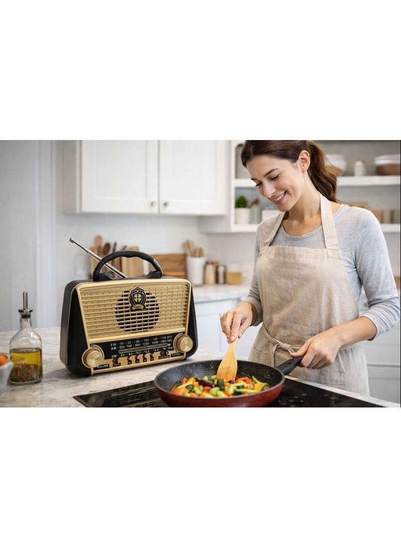 راديو كلاسيكي محمول - 3 موجات FM/AM/SW مع بلوتوث وUSB ومشغل MP3 وكشاف إضاءة - مكبر صوت هاي فاي قابل لإعادة الشحن للمنزل - موديل R-3166BT - Image 3